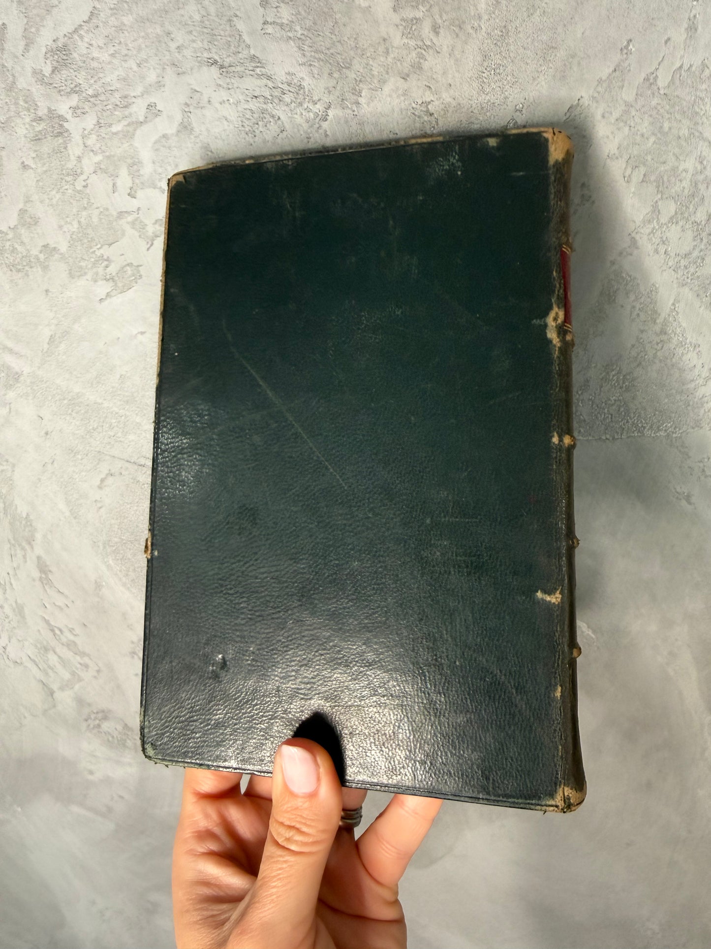 Antique “The Children of the New Forest” by Captain Marryat | Leather Bound Prize Book