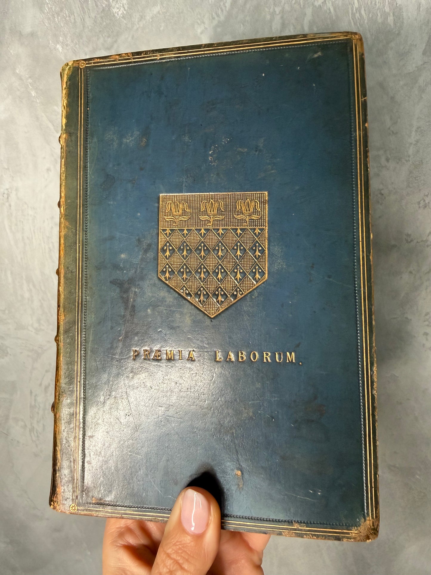 The Life of Arthur Duke of Wellington | 1871 Victorian Leather Bound Biography