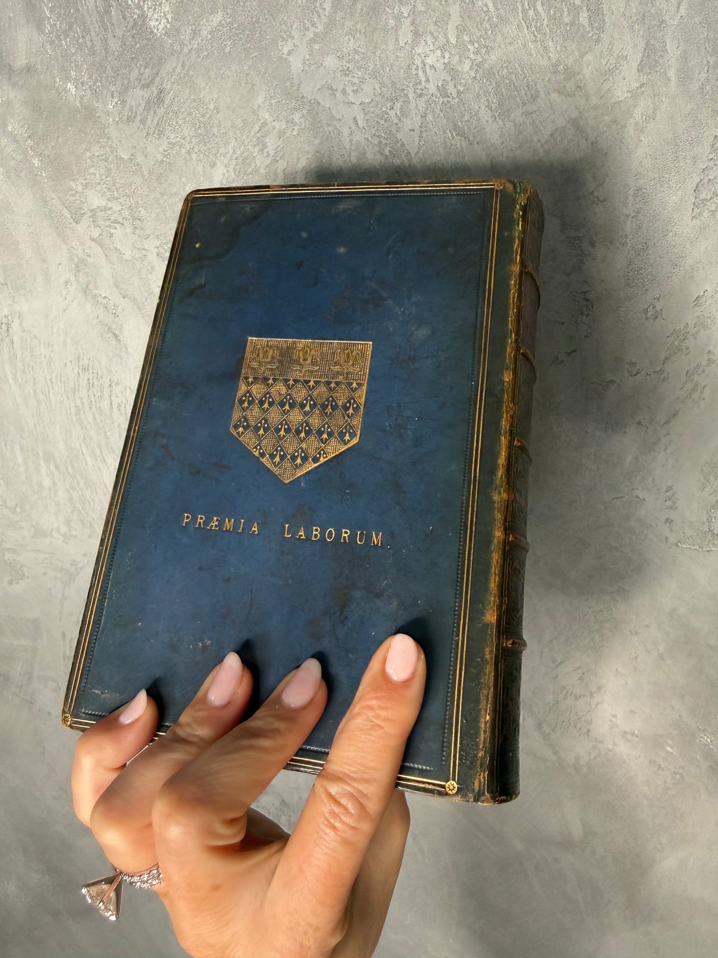 The Life of Arthur Duke of Wellington | 1871 Victorian Leather Bound Biography